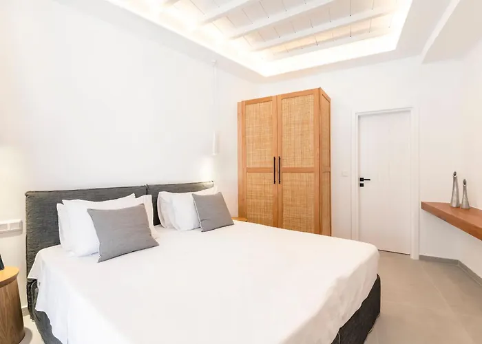 Zen - Mg Mykonos 别墅 *